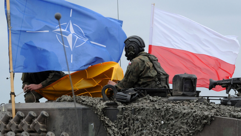 Ввод войск НАТО на Украину обернулся бы для нее крахом, заявили в Крыму